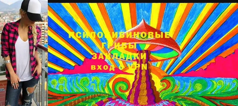 Галлюциногенные грибы Cubensis  как найти закладки  ссылка на мегу ТОР  Черкесск 